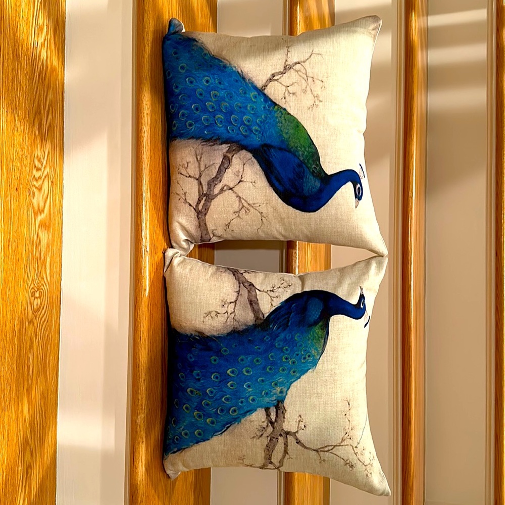 Two hand painted tuquoise and beige decorative pillow COVERS ONLY